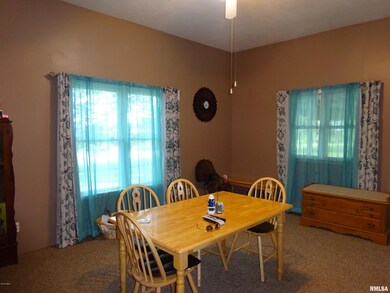 910 Lewis Rd, Harrisburg, IL 62946 - photo 4