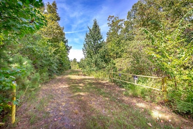 0 Porter Rd unit 25034698, Union Township, AR 72153 - photo 2