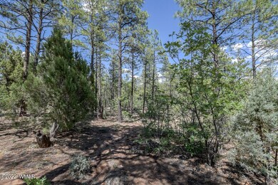2011 S Sierra Park Trail, Show Low, AZ 85901 - photo 4