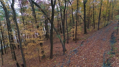 A wooded building area sits along a cut-in path, offering privacy and a natural setting for a new home. Mature trees surround the site, creating a peaceful backdrop while still allowing room to shape your ideal homesite.