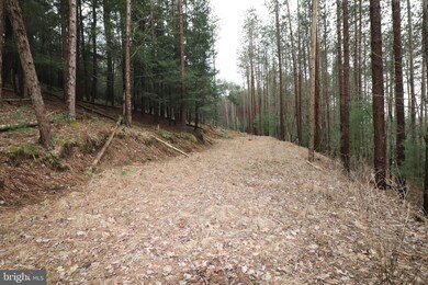 0 Spruce Hollow Rd unit PACC2001074, Palmerton, PA 18071 - photo 4