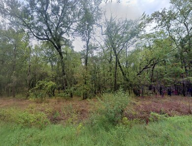 0 Biscayne Dr unit 25564661, Dayton, TX 77535 - photo 6