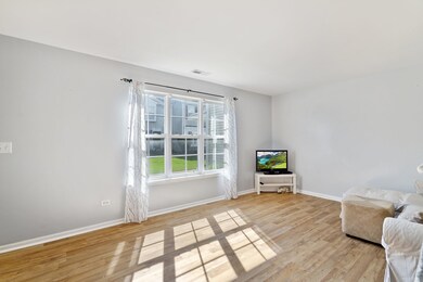 1838 Towhee Ct, Joliet, IL 60435 - photo 5