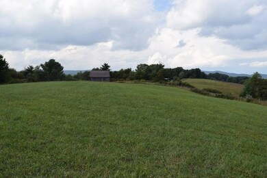 DSC_0035 (800x533)