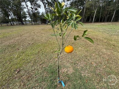 650 Linden Dr, Jesup, GA 31545 - photo 4