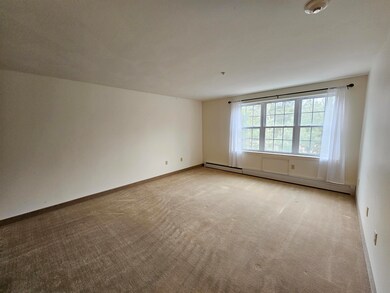 486 Nashua St unit 217, Milford, NH 03055 - photo 4