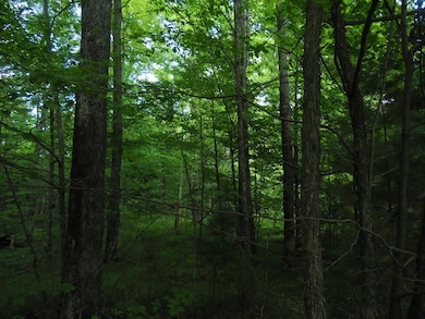 Lot 10 Eagle Waters Rd, Tomahawk, WI 54487 - photo 4