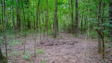 0000 Big Creek Rd, Byram, MS 39212 - photo 3