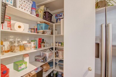 Walk In Pantry