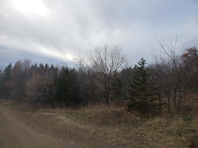 Lot 2 & 3 County Road M 202nd St, Alden Township, WI 54026 - photo 7