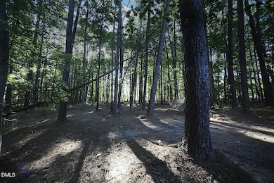 4220 Bay Laurel Ct, Wake Forest, NC 27587 - photo 5