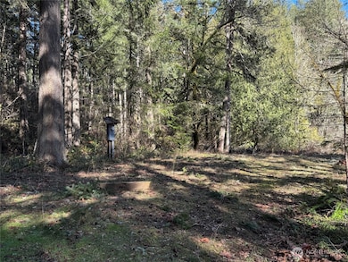 17820 Pondside Ct SE, Yelm, WA 98597 - photo 2