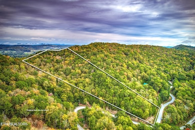 0 Timber Ridge Lot 117, Sharps Chapel, TN 37866 - photo 6