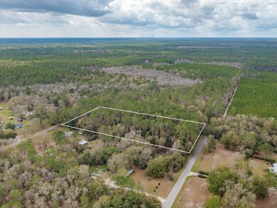 XXXX Slash Pine Dr Oakland Dr, Crawfordville, FL 32327 - photo 2