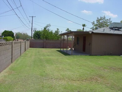 Backyard 2