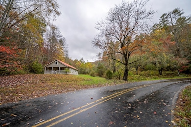 139 I U Gap Rd, Robbinsville, NC 28771 - photo 4