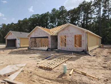 10041 Spring Creek Rd, Cleveland, TX 77327 - photo 4