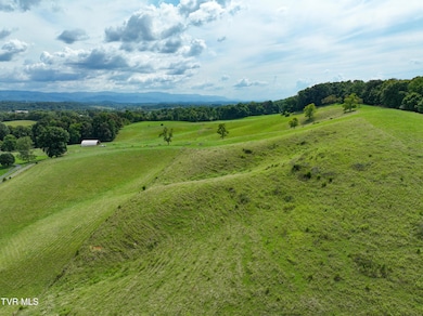 Tbd Persimmon Ridge Rd, Jonesborough, TN 37659 - photo 4
