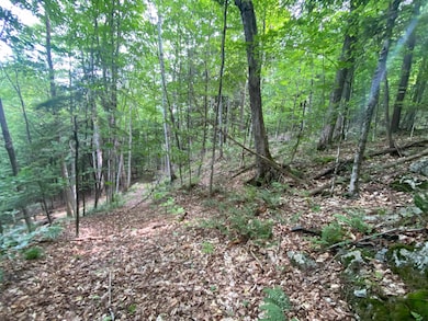 0 Simpson Brook Rd, Waterford, VT 05819 - photo 7