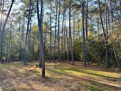 26024 Pineview Dr, Folsom, LA 70446 - photo 4