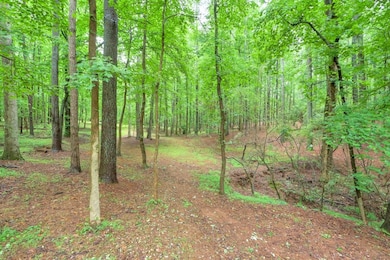 Lot3B Squire Ln, Cumming, GA 30041 - photo 5