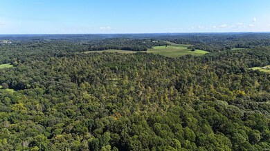96+/- Acres Emmons Ridge Rd, Shoals, IN 47581 - photo 6