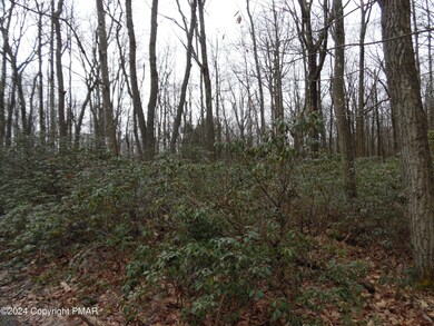 Lot E 540 Cocopah Circle Saginaw Dr, Jim Thorpe, PA 18229 - photo 3