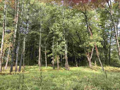 0 Mason Ln, New Scotland, NY 12159 - photo 2