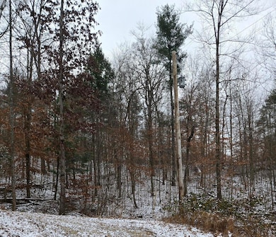 Lot 106 Sunset Valley Dr, Campton, KY 41301 - photo 2