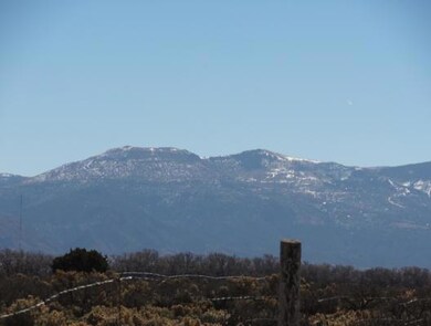 Tanner 005_528x400