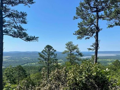 4 Timber Ridge, Tuskahoma, OK 74574 - photo 5