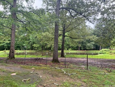 3508 Highway 35 N, Sheridan, AR 72150 - photo 2