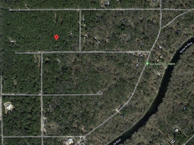 4301 290th Terrace, Branford, FL 32008 - photo 4