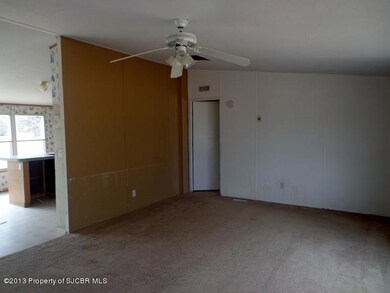 17 Road 3937, Farmington, NM 87401 - photo 6