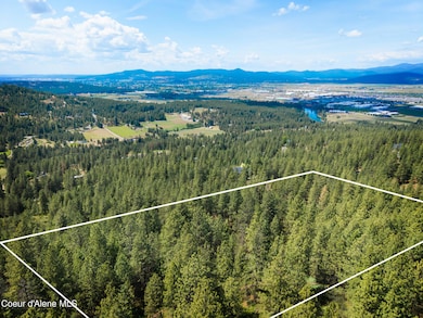 DJI_20250604140046_0036_D