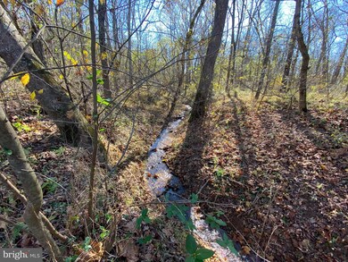 0 Lock Ln unit VAFQ168018, Warrenton, VA 20186 - photo 4