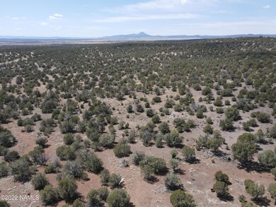 DJI_0209