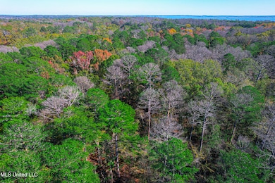DJI_0375