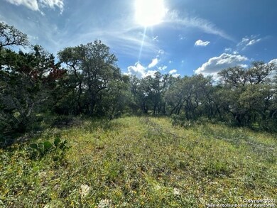 600 County Road 241, Hondo, TX 78861 - photo 6
