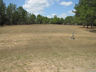 29213 Village Oaks Ct, Magnolia, TX 77355 - photo 2