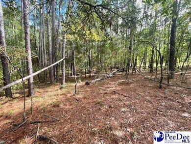 0 Center Point Rd, Chesterfield, SC 29709 - photo 5