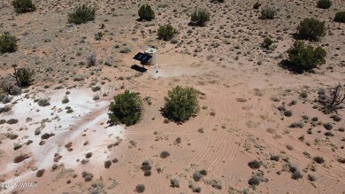 DJI_0405