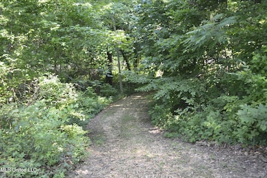 Cleared Area view toward street