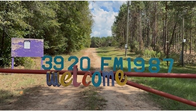 3920 Farm To Market Road 1987, Corrigan, TX 75939 - photo 4