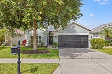 9821 Jasmine Brook Cir, Land O Lakes, FL 34638 - photo 4