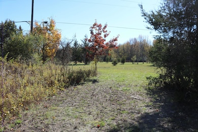 000 Jennings Rd, Whitmore Lake, MI 48189 - photo 5