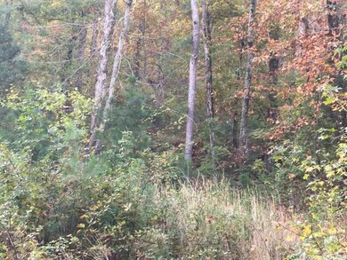 535 & 515 Pearce Rd, Heber Springs, AR 72543 - photo 2