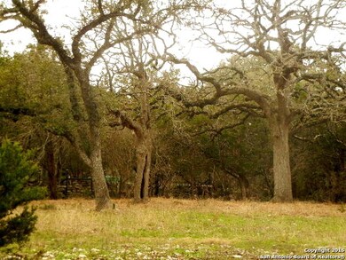 LOT1 BLOCK3 River Water, Spring Branch, TX 78070 - photo 3