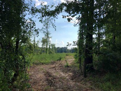 0 Highway 471 Hwy unit 1322797, Brandon, MS 39047 - photo 6