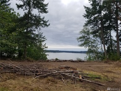 8210 128th Ave Ct, Anderson Island, WA 98303 - photo 4